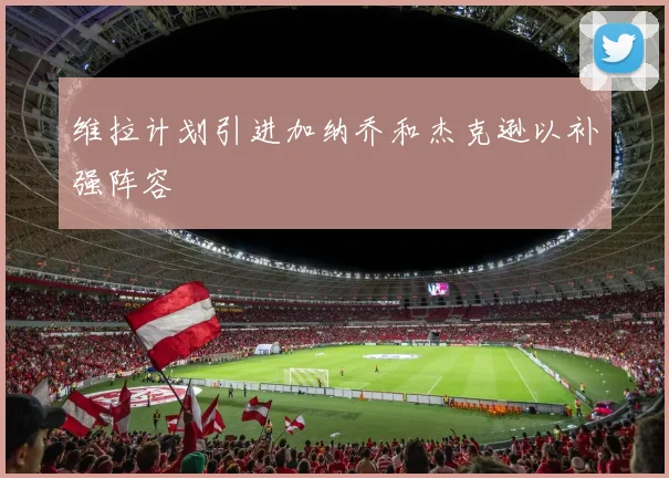 维拉计划引进加纳乔和杰克逊以补强阵容